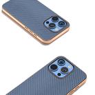 For iPhone 16 Pro Max Nano Electroplating Carbon Fiber Texture Phone Case(Sky Blue) - 3