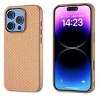 For iPhone 16 Pro Max Nano Electroplating Carbon Fiber Texture Phone Case(Gold) - 1