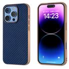 For iPhone 16 Pro Max Nano Electroplating Carbon Fiber Texture Phone Case(Navy Blue) - 1