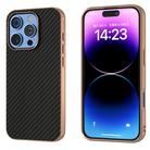 For iPhone 16 Pro Nano Electroplating Carbon Fiber Texture Phone Case(Black) - 1