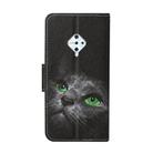 For Vivo S1 Pro Colored Drawing Pattern Horizontal Flip Leather Case with Holder & Card Slots & Wallet(Black Cat) - 2