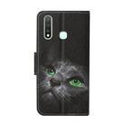 For Vivo Y19 Colored Drawing Pattern Horizontal Flip Leather Case with Holder & Card Slots & Wallet(Black Cat) - 3