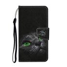 For Vivo Y50 / Y30 Colored Drawing Pattern Horizontal Flip Leather Case with Holder & Card Slots & Wallet(Black Cat) - 2