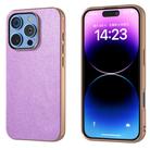 For iPhone 16 Pro Max Electroplating Frame Glitter Shockproof Phone Case(Purple) - 1