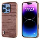 For iPhone 16 Pro Max ABEEL Electroplating Frame Crocodile Texture Genuine Leather Phone Case(Brown) - 1