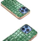 For iPhone 16 Pro ABEEL Electroplating Frame Crocodile Texture Genuine Leather Phone Case(Green) - 3