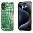 For iPhone 16 Plus ABEEL Electroplating Frame Crocodile Texture Genuine Leather Phone Case(Green) - 1