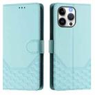 For iPhone 16 Pro Max Honeycomb Embossing RFID Leather Phone Case(Mint Green) - 2