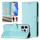 For iPhone 15 Pro Max Honeycomb Embossing RFID Leather Phone Case(Mint Green) - 1