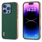 For iPhone 16 Pro Max ABEEL Electroplating Frame Genuine Leather Litchi Texture Phone Case(Green) - 1