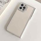 For iPhone 15 Pro Max Electroplated Solid Color Fine Hole TPU Phone Case(White) - 1