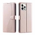 For iPhone 12 / 12 Pro Voltage Ultra-thin Dot Leather Phone Case(Rose Gold) - 1