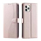 For iPhone 11 Pro Voltage Ultra-thin Dot Leather Phone Case(Rose Gold) - 1
