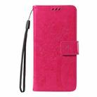 For Redmi A5 4G 173.3mm Tree & Cat Embossed Pattern Flip Leather Phone Case(Rose Red) - 2