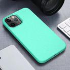 For iPhone 12 mini Starry Series Shockproof Straw Material + TPU Protective Case(Green) - 1