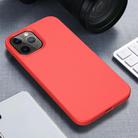 For iPhone 12 mini Starry Series Shockproof Straw Material + TPU Protective Case(Red) - 1