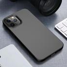 For iPhone 12 / 12 Pro Starry Series Shockproof Straw Material + TPU Protective Case(Black) - 1