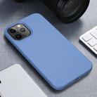 For iPhone 12 Pro Max Starry Series Shockproof Straw Material + TPU Protective Case(Blue) - 1