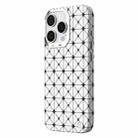 For iPhone 16 Pro Max TGVIS VIDA Series MagSafe Magnetic PU Leather Phone Case(Silver Plaid) - 1