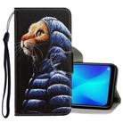 For OPPO Realme C3 3D Colored Drawing Horizontal Flip PU Leather Case with Holder & Card Slots & Wallet(Down Jacket Cat) - 1