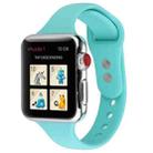 For Apple Watch 5 & 4 44mm / 3 & 2 & 1 42mm Thin Silicone Double Buckle Watch Band(Mint Green) - 1