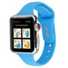 For Apple Watch 5 & 4 44mm / 3 & 2 & 1 42mm Thin Silicone Double Buckle Watch Band(Blue) - 1