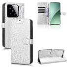 For Xiaomi 15 Pro Honeycomb Dot Texture Leather Phone Case(Silver) - 1