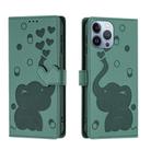 For iPhone 13 Pro Max Cartoon Elephant Embossed Leather Phone Case(Green) - 1