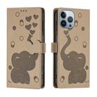 For iPhone 13 Pro Max Cartoon Elephant Embossed Leather Phone Case(Khaki) - 1