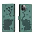 For iPhone 12 / 12 Pro Cartoon Elephant Embossed Leather Phone Case(Green) - 1