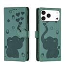 For iPhone 17 Pro Cartoon Elephant Embossed Leather Phone Case(Green) - 1