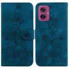 For Motorola Moto G55 Lily Embossed Leather Phone Case(Dark Blue) - 1