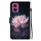 For Motorola Moto G55 Crystal Texture Colored Drawing Leather Phone Case(Purple Peony) - 3