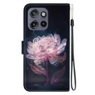 For Motorola Edge 50 Neo 5G Global Crystal Texture Colored Drawing Leather Phone Case(Purple Peony) - 3