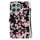 For Motorola Moto G56 5G / G66j 5G / G66y 5G Crystal Texture Colored Drawing Leather Phone Case(Plum Bossom) - 3