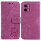 For Motorola Moto G55 Little Tiger Embossed Leather Phone Case(Rose Red) - 1