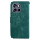 For Motorola Edge 50 Neo 5G Global Little Tiger Embossed Leather Phone Case(Green) - 3