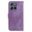 For Motorola Edge 50 Neo 5G Global Little Tiger Embossed Leather Phone Case(Purple) - 3