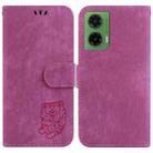 For Motorola Moto G35 Little Tiger Embossed Leather Phone Case(Rose Red) - 1