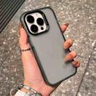 For iPhone 16 Pro Max Frosted Shockproof TPU Phone Case(Transparent Grey) - 1