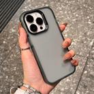 For iPhone 16 Pro Frosted Shockproof TPU Phone Case(Transparent Grey) - 1