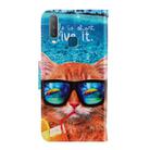 For Vivo Y17 / Y12 / Y15 3D Colored Drawing Horizontal Flip PU Leather Case with Holder & Card Slots & Wallet(Underwater Cat) - 2