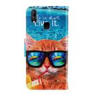 For Vivo Y91c 3D Colored Drawing Horizontal Flip PU Leather Case with Holder & Card Slots & Wallet(Underwater Cat) - 3