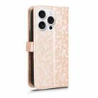 For iPhone 16 Pro Max Honeycomb Dot Texture Leather Phone Case(Gold) - 3