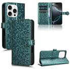 For iPhone 16 Pro Max Honeycomb Dot Texture Leather Phone Case(Green) - 1