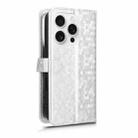 For iPhone 16 Pro Max Honeycomb Dot Texture Leather Phone Case(Silver) - 3