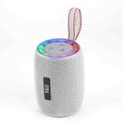 T&G TG434 Outdoor Portable Wireless Bluetooth Speaker(Silver) - 1