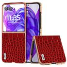 For Motorola Razr 50 Ultra ABEEL Electroplated Frame Genuine Leather Crocodile Pattern Phone Case(Red) - 1