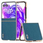 For Motorola Razr 50 ABEEL Electroplating Frame Genuine Leather Litchi Texture Phone Case(Blue) - 1