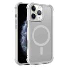 For iPhone 11 Pro Skin Feel MagSafe Phone Case(Grey) - 1